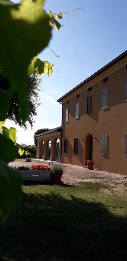 Agriturismo Vitae Fabbrico エクステリア 写真