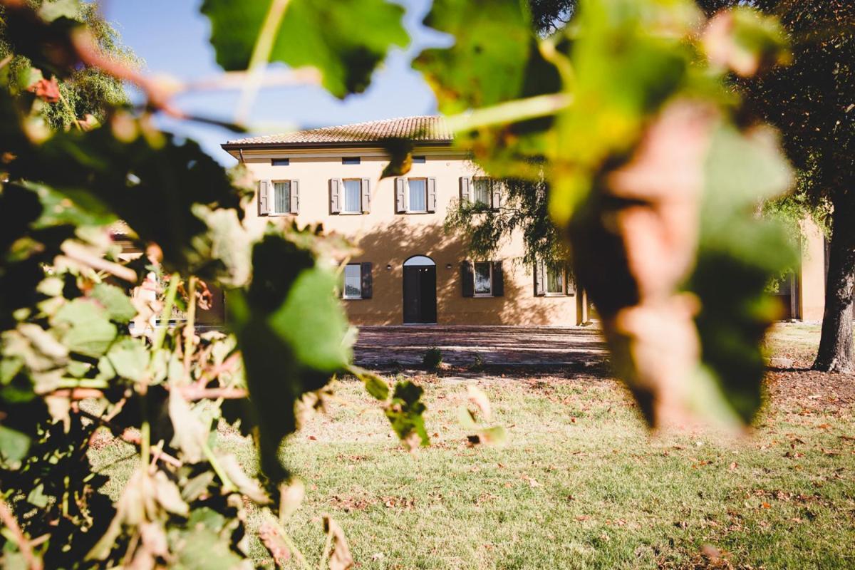 Agriturismo Vitae Fabbrico エクステリア 写真