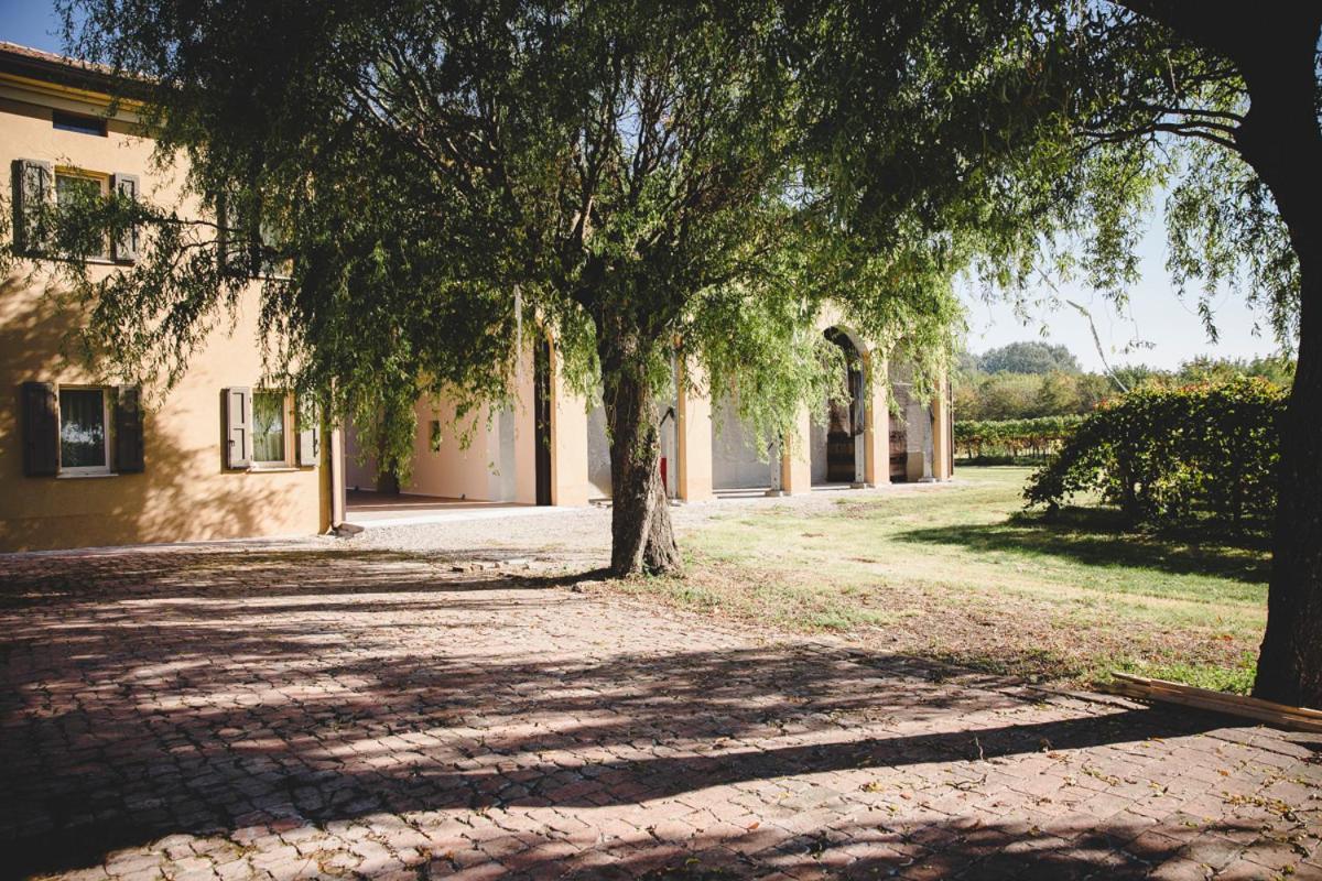 Agriturismo Vitae Fabbrico エクステリア 写真