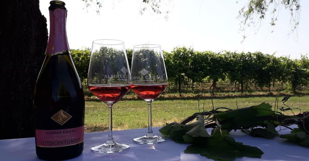 Agriturismo Vitae Fabbrico エクステリア 写真