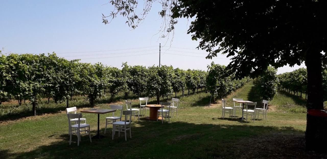 Agriturismo Vitae Fabbrico エクステリア 写真