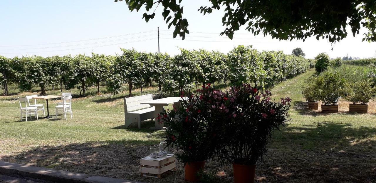 Agriturismo Vitae Fabbrico エクステリア 写真