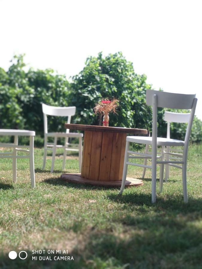Agriturismo Vitae Fabbrico エクステリア 写真