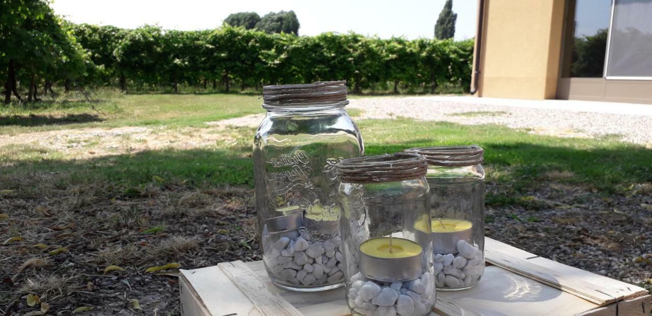 Agriturismo Vitae Fabbrico エクステリア 写真