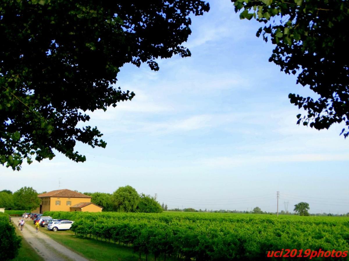 Agriturismo Vitae Fabbrico エクステリア 写真